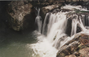 Dia Mundial da Água: uso correto é preservar a vida