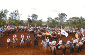 Festa campeira do RS começa hoje