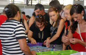 Pratas da Casa: Público superou 15 mil visitantes