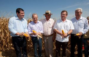 Objetivo é estabelecer cronograma de atividades na produção de milho