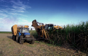 Instituído Comitê Estratégico do Agronegócio