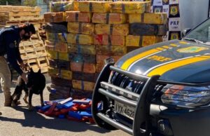 PRF bate recordes de apreensão de maconha no Rio Grande do Sul