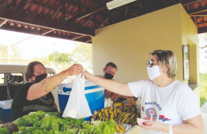 Procura por alimentos orgânicos é cada vez maior