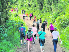 Vale do Sol | Caminhada na Natureza será no dia 7 de junho