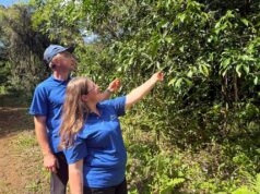 Dia da Árvore | Distribuição de mudas pela Alliance One une produção e preservação