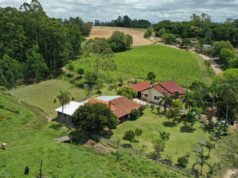 Sul do Brasil | Mesmo com avanço da diversificação, tabaco segue como principal fonte de renda