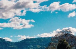 Artes visuais | Nova edição de concurso Riquezas do Vale