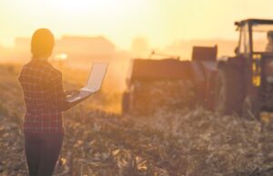 Dia Internacional das Mulheres Rurais | Força feminina no campo ganha destaque neste mês