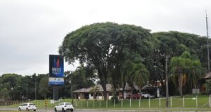 Inovação e Tecnologia | Gauten: empresas projetam crescimento de 36% em 2026