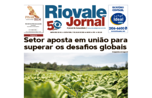 Edição 17/07/2026