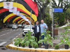 41ª Oktoberfest | Plantas de fumo decoram a Marechal Floriano