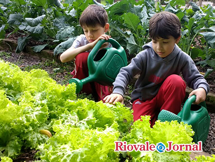 Horta escolar foi implantada para que os alunos pudessem consumir alimentos saudáveis