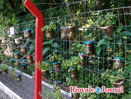 Chás foram plantado pelos alunos na cerca que divide o Colégio Mauá do Turno Integral