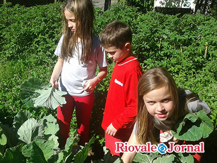 Colégio Mauá recebeu menção honrosa no projeto Meio ambiente e turno integral