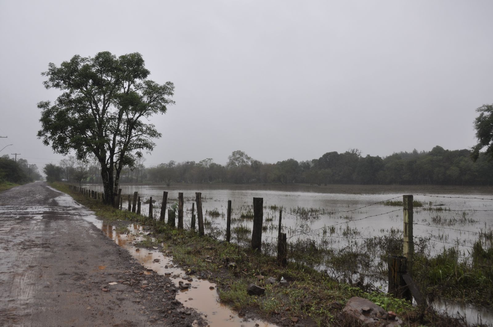 Em Santa Cruz do Sul não há registro de desalojados ou desabrigados. Nível do Rio Pardinho está baixando, desgundo a Defesa Civil