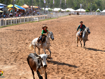 Em 2016, Fecars acontece entre os dias 17 a 20 de março em Santiago
