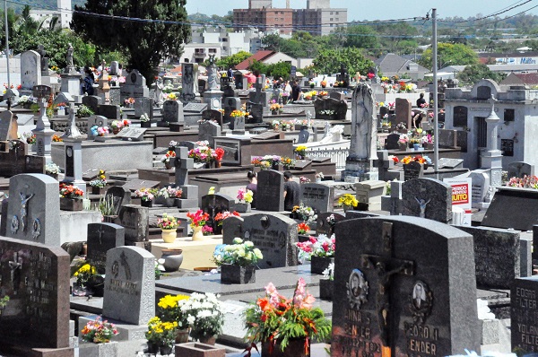 Flores coloriram o Cemitério Municipal