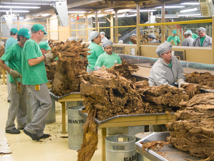 Funcionários da JTI Santa Cruz do Sul