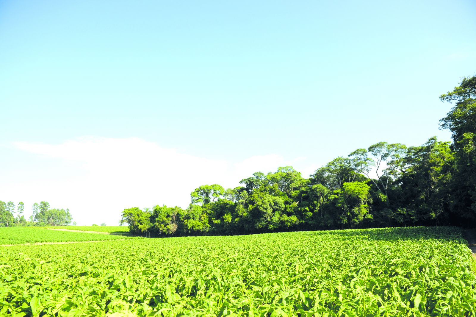 Trabalho começa a partir do próximo dia primeiro de outubro