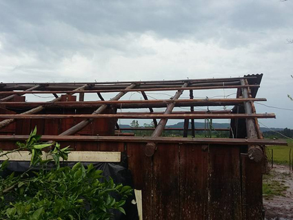 Houve muitos destelhamentos no municÃƒÂ­pio, em especial na ÃƒÂ¡rea rural onde as lavouras tambÃƒÂ©m foram muito afetadas