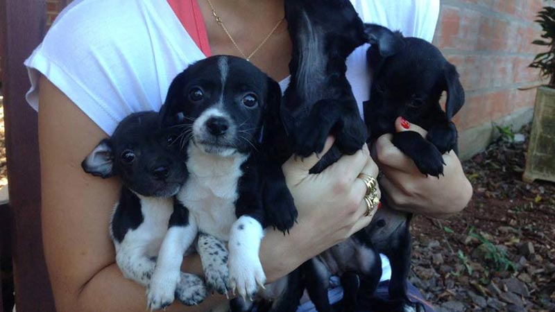 Asfa será um dos beneficiados