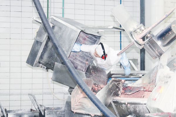 Frigorífico assumiu 52 obrigações, sendo 11 específicas por setor, e 41 gerais, aplicáveis a todos os setores da planta