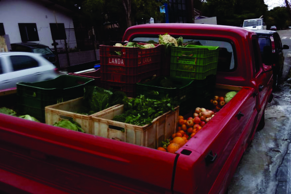 Leandro Back colhe os produtos e ap—s lavar e pesar vende as variedades fresquinhas diretamente nas casas de seus clientes