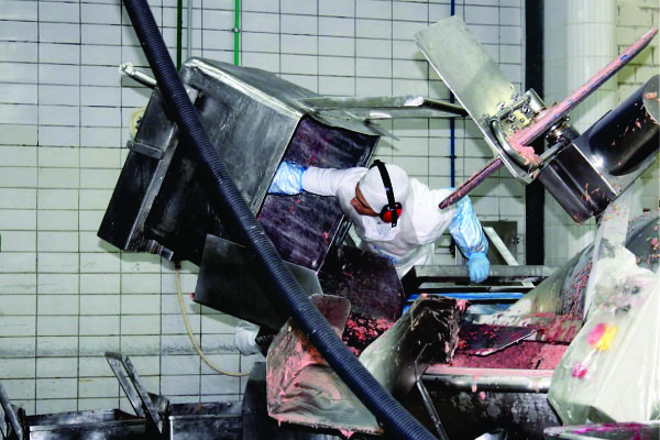 Os principais problemas identificados estão relacionados a ergonomia (postura) dos trabalhadores