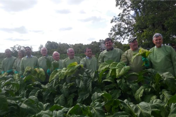 Abertura foi feita com a quebra da folha pela família anfitriã e pelas autoridades presentes