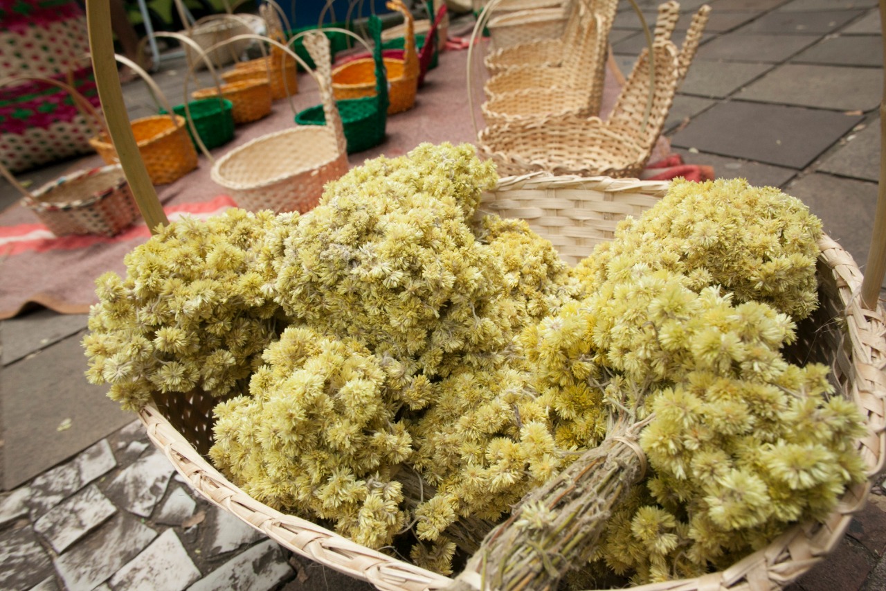ƒ tradi‹o no Rio Grande do Sul colher a macela na madrugada da Sexta-feira Santa