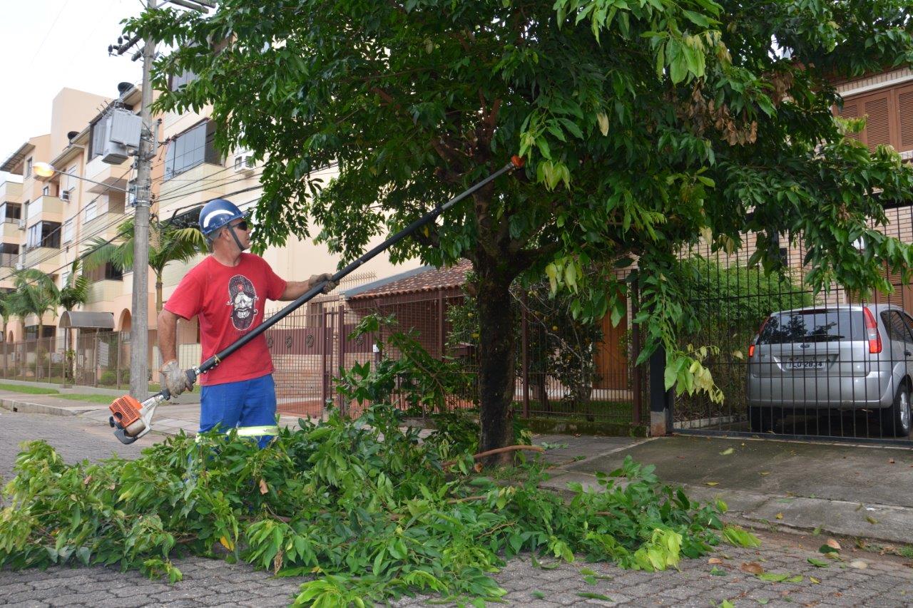 Em Santa Cruz poda é realizada em sistema de rodízio