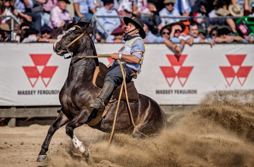 Égua Campana Vicuña e o ginete Fabinho fizeram bonito na final
