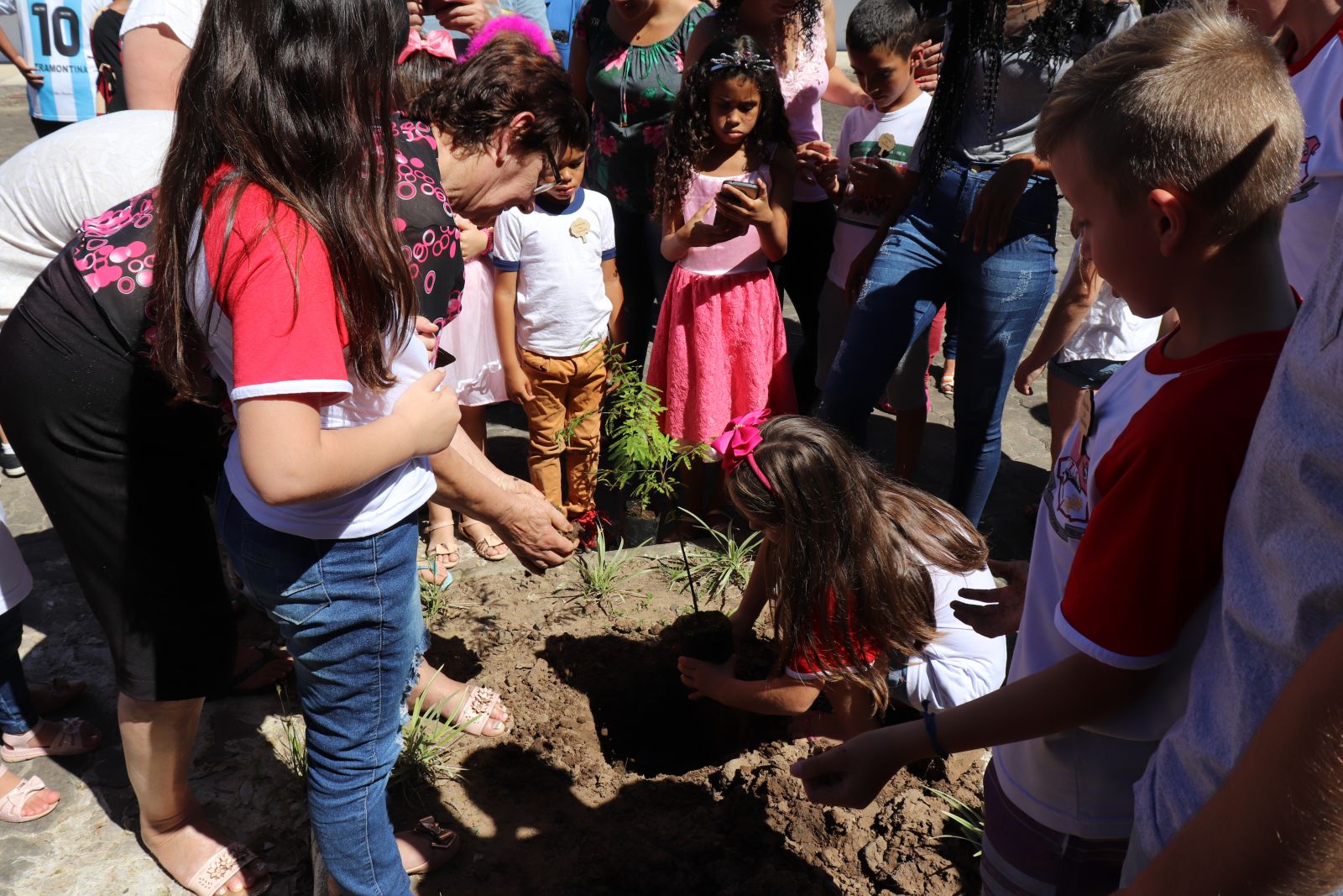 Atividade final foi o plantio de duas mudas de árvores no pátio da escola, as quais os alunos terão que cuidar 