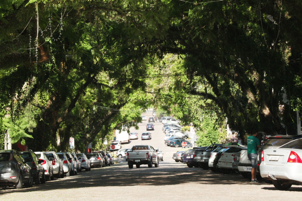 Decoração carnavalesca será montada na Borges de Medeiros, entre as ruas Marechal Deodoro e Marechal Floriano