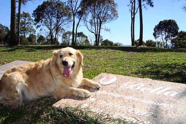 Cemitério Parque e Crematório Saúde Animal: Enquanto Santa Cruz não oferece cemitério para animais, o local mais próximo fica em Nova Petrópolis, Serra Gaúcha