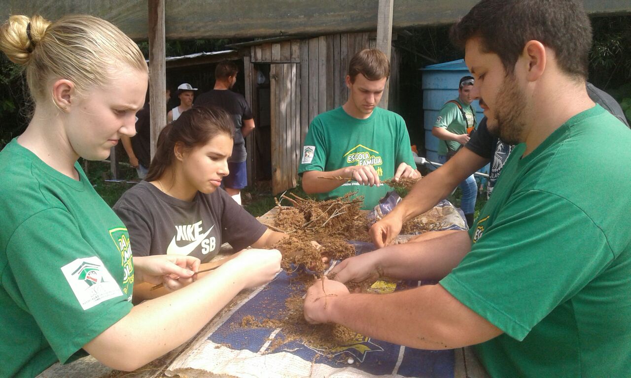 Muitos jovens est‹o permanecendo no campo e investindo na agricultura familiar