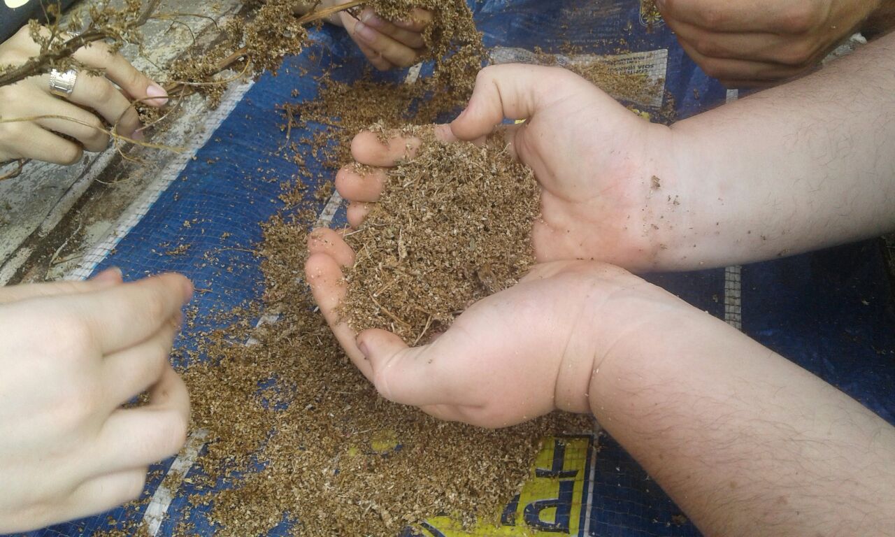 Atividades aprendidas em sala de aula est‹o sendo aplicadas em propriedades rurais