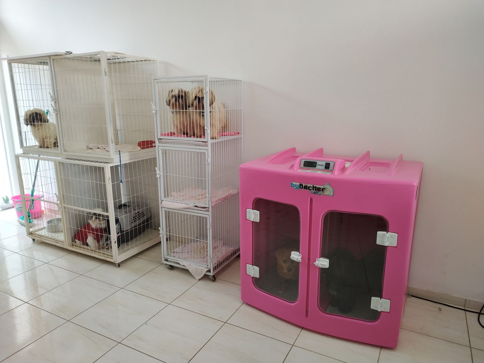 Equipamentos de alta qualidade, como uma máquina de secar, agilizam o trabalho