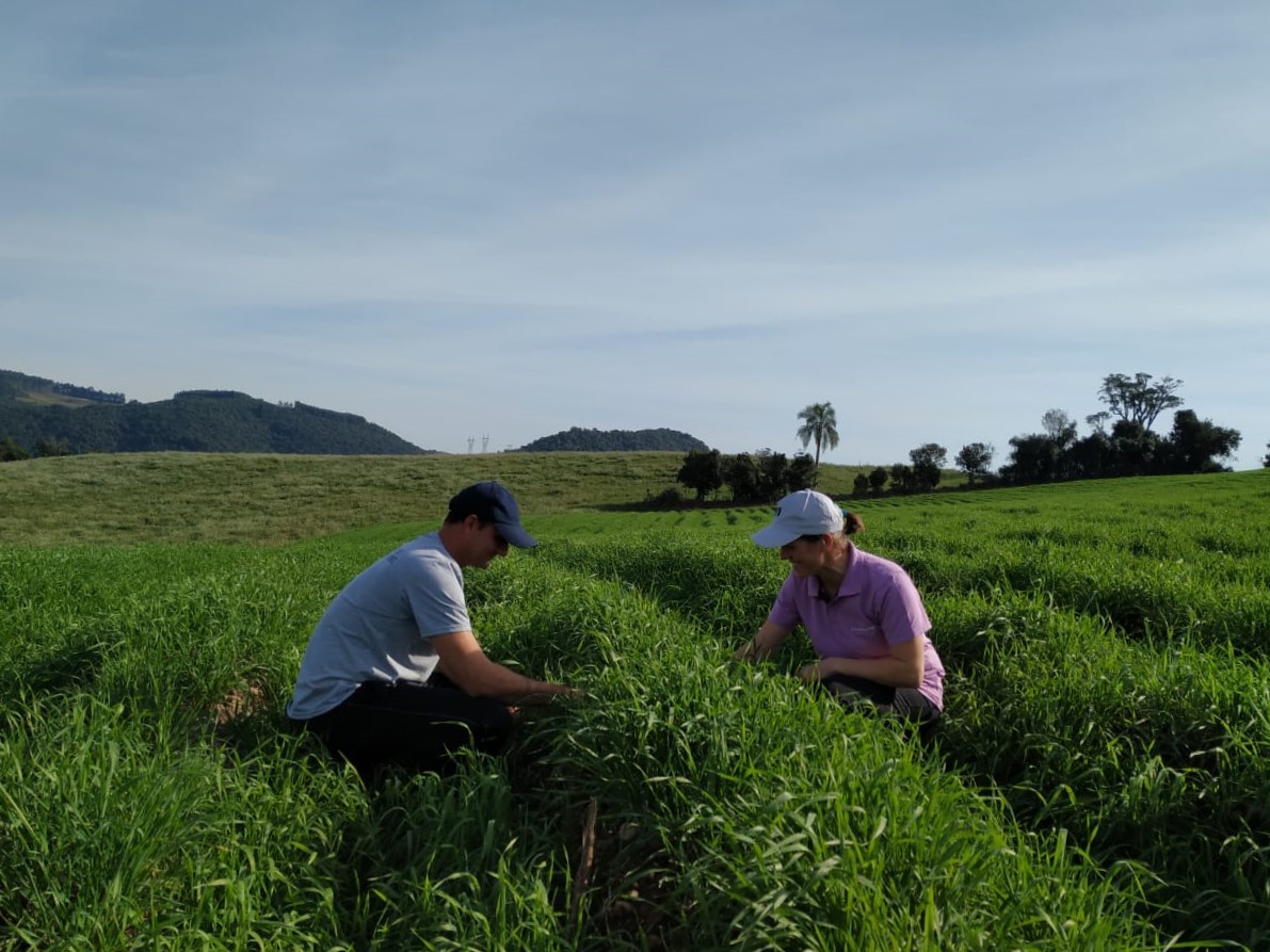 Produtores Jo‹o e Gl—ria