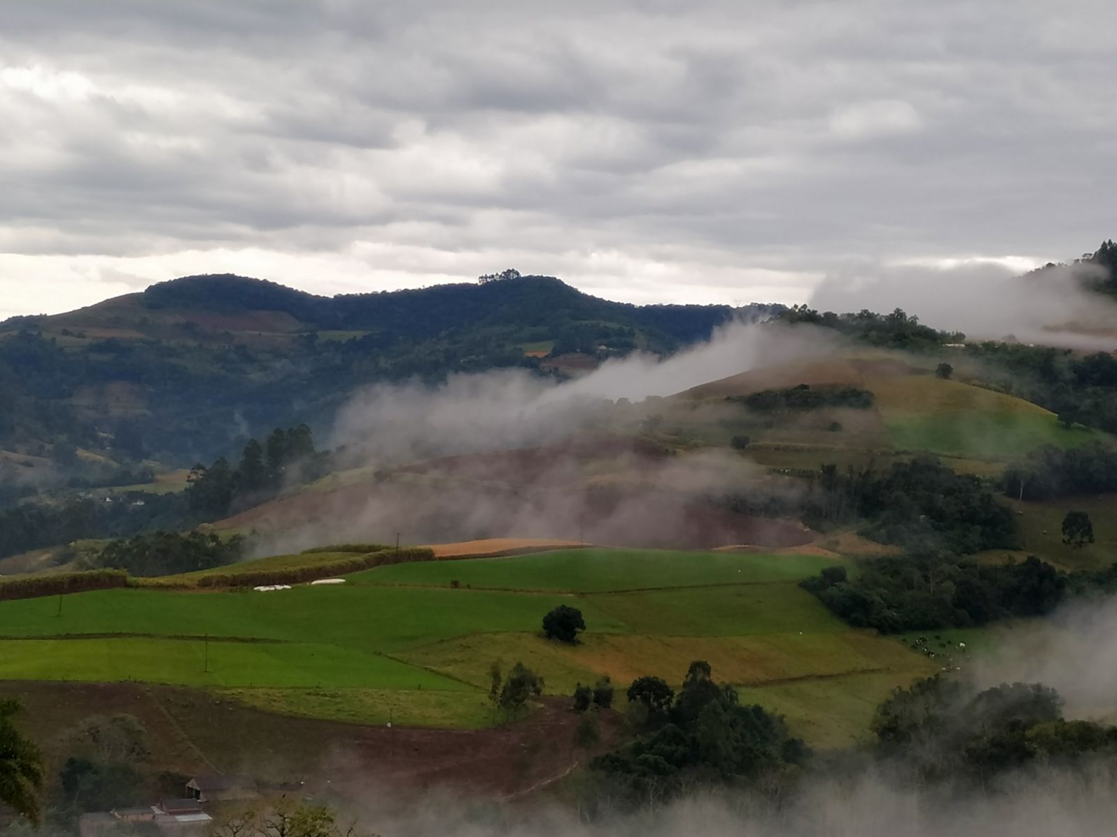 Terreno acidentado da propriedade n‹o foi um problema como era esperado