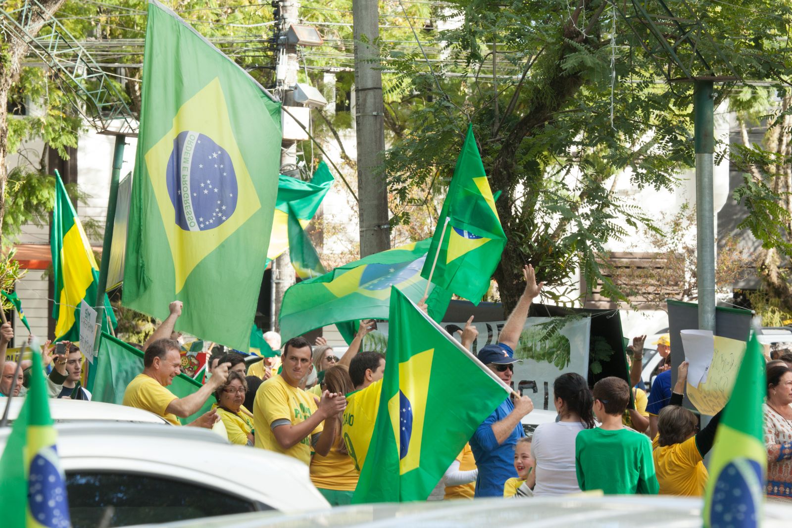 Manifestantes carregaram bandeiras do Brasil na tarde de domingo, no Centro de Santa Cruz