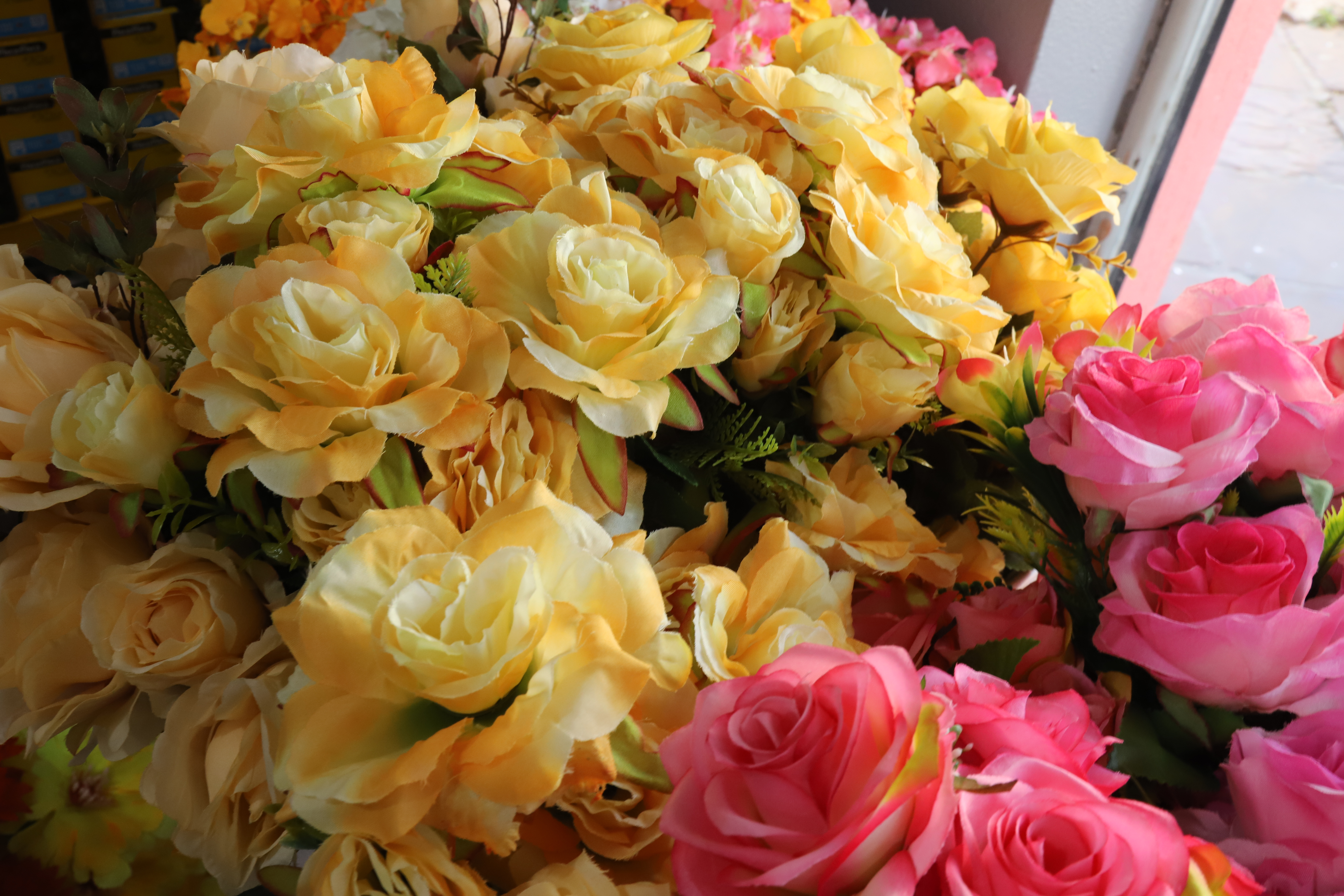 H‡ diversas op›es em flores 