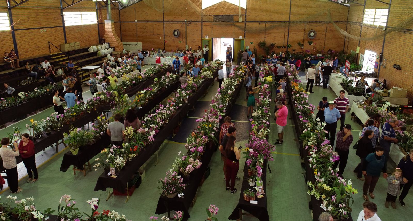 Em torno de 130 expositores devem participar do evento no Ginásio Ruy Barbosa