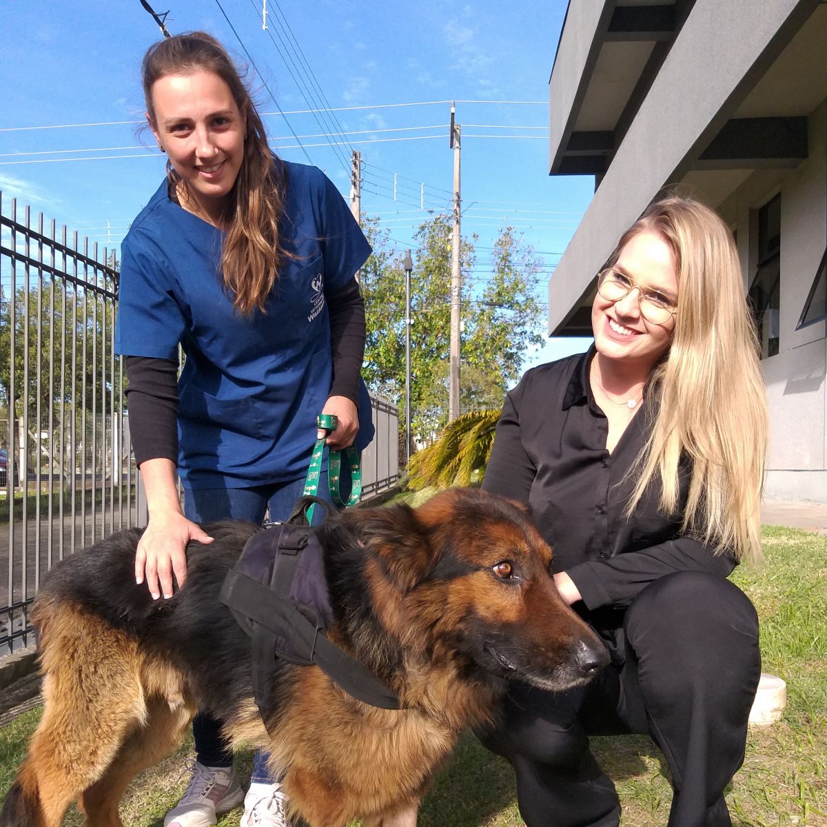 Para Bruna é uma alegria sem tamanho ver a recuperação do Boris