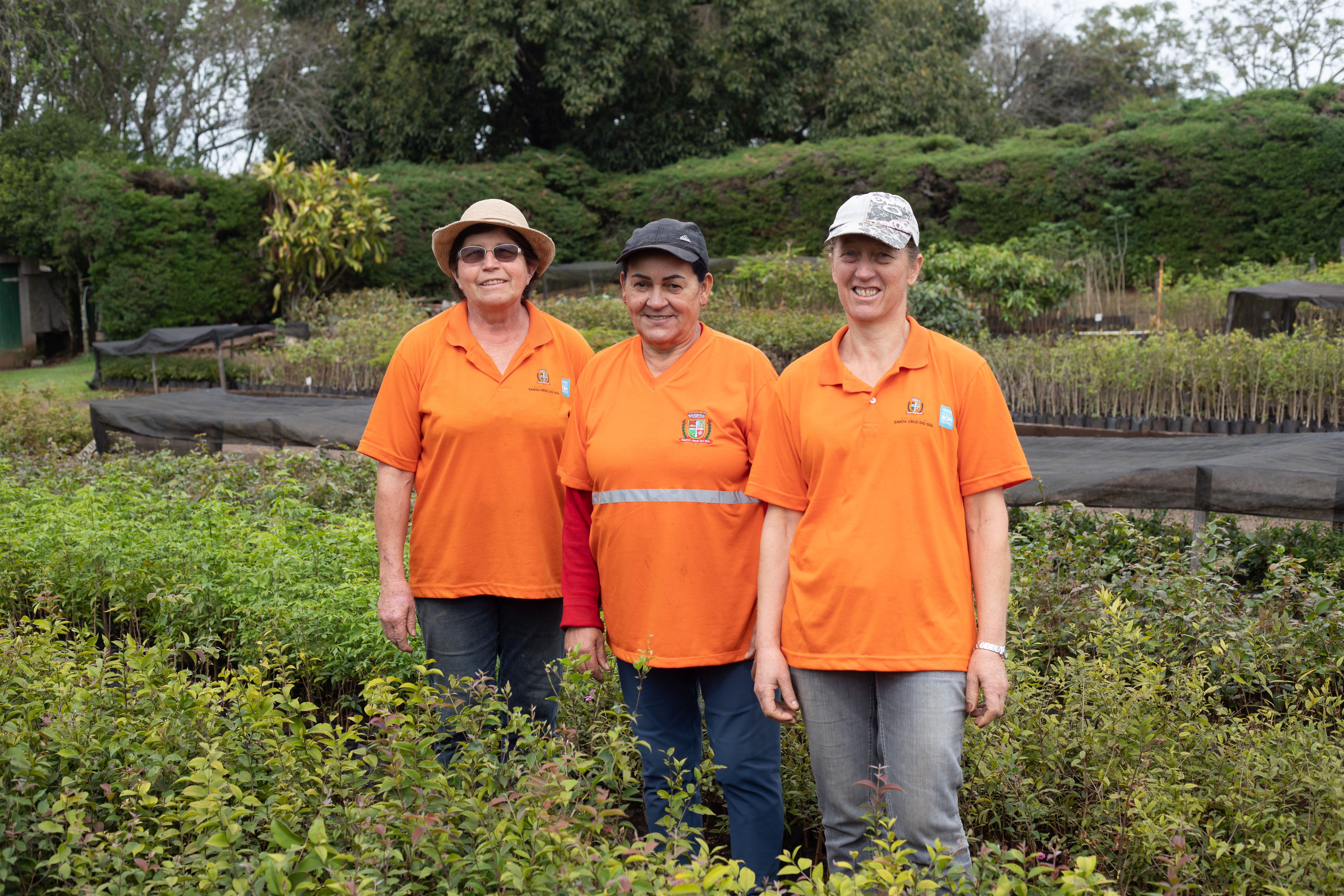 Noemia Müller, Cacilda Gerasch e Lori Sehnem trabalham juntas no cultivo das flores 
