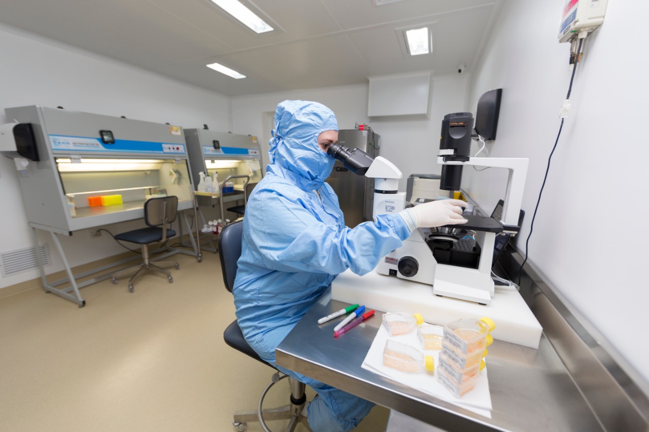 Ilustração mostra as principais fontes de onde se obtém células-tronco