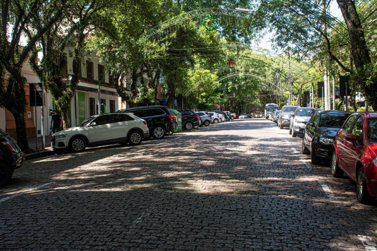 Projeto de revitalização irá preservar as tipuanas do túnel verde na Marechal Floriano, um dos principais cartões-postais de Santa Cruz do Sul