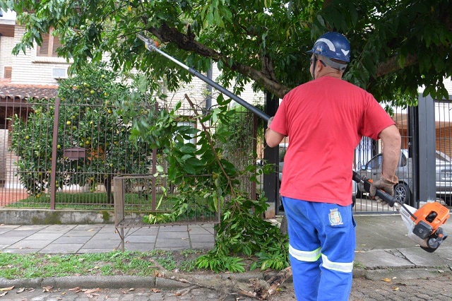 Poda Programada é realizada pela Prefeitura, por meio da Semass