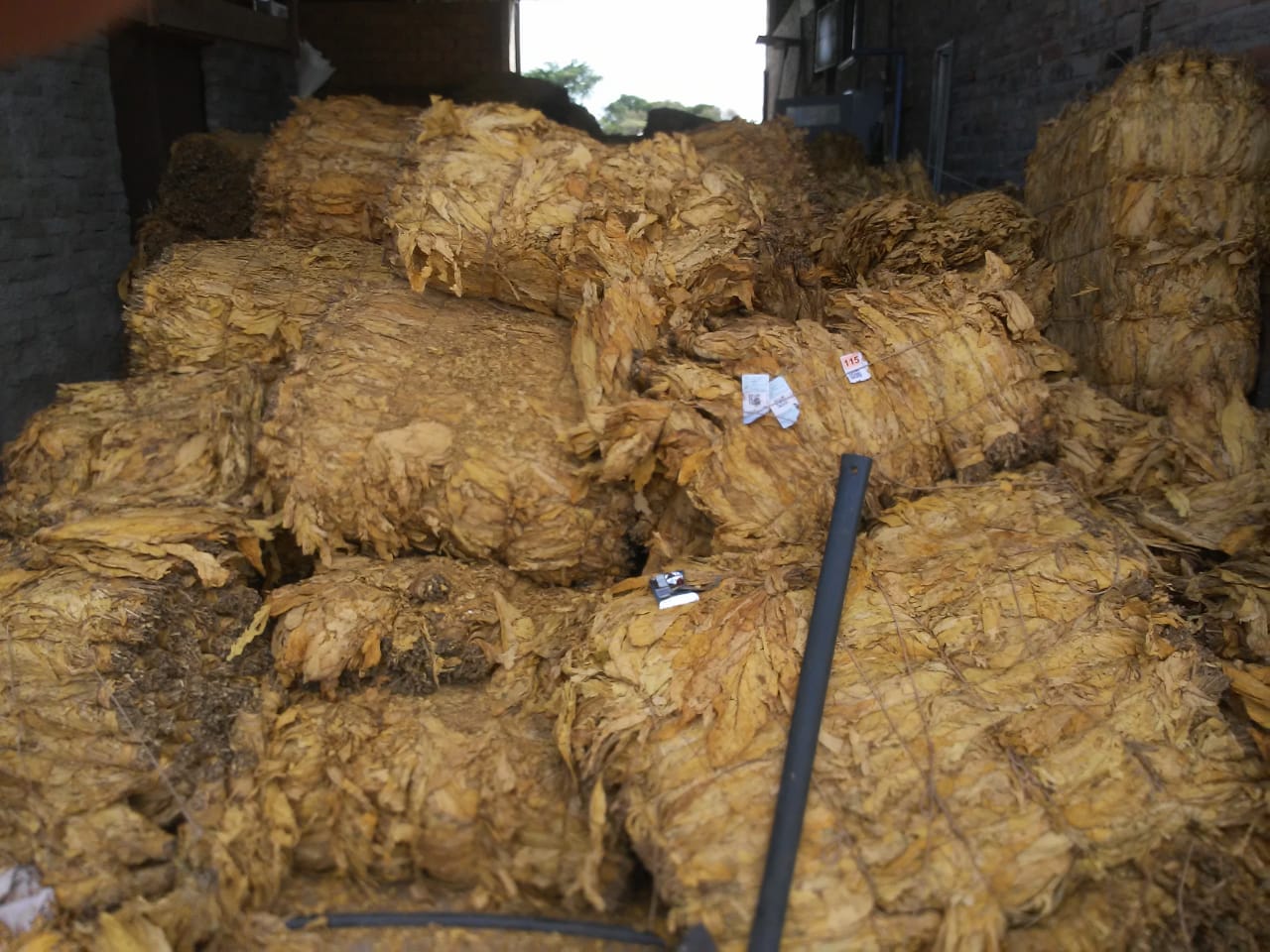 Carga de tabaco roubada em Pantano Grande foi recuperada por policiais civis de Santa Cruz do Sul