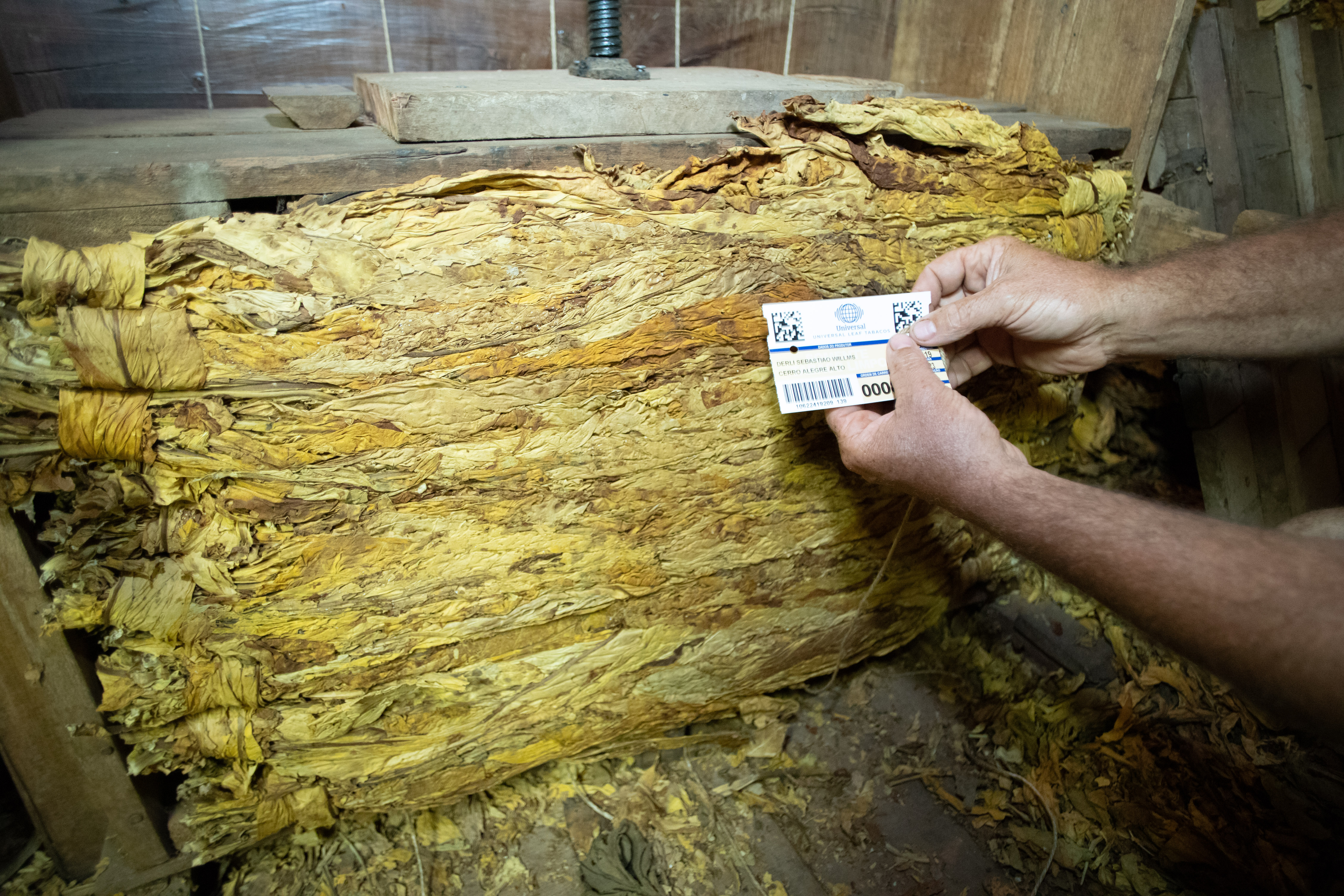 Tabaco já recebe número para emissão da nota na comercialização com a empresa